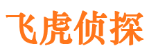 靖安侦探公司